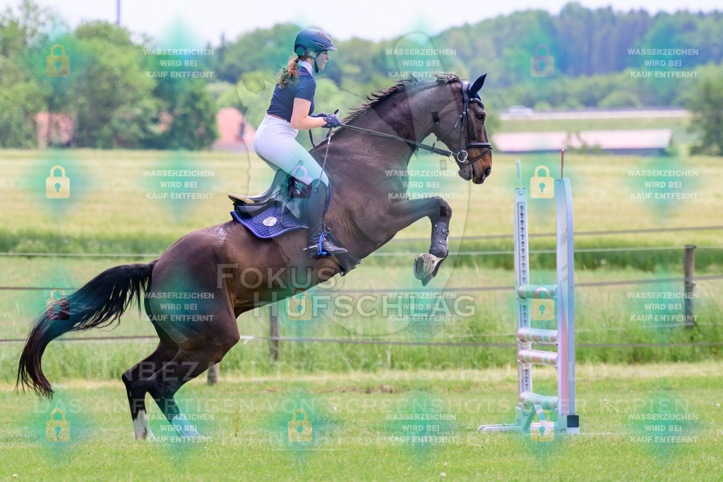 30052026-Forstinning-Prfg23-0151 | Fokus Hufschlag Fotografie - Realisiert mit Pictrs.com