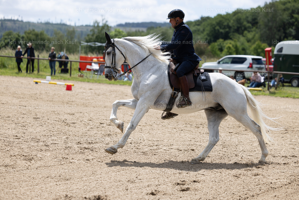 Masterclass_stoibphotography_C2_C8687.CR3 | working equitationturnier fotograf videograf stoibphotography marixx film working equitation deutschland reitsport turnierfotografie eventfotografie equestrian events