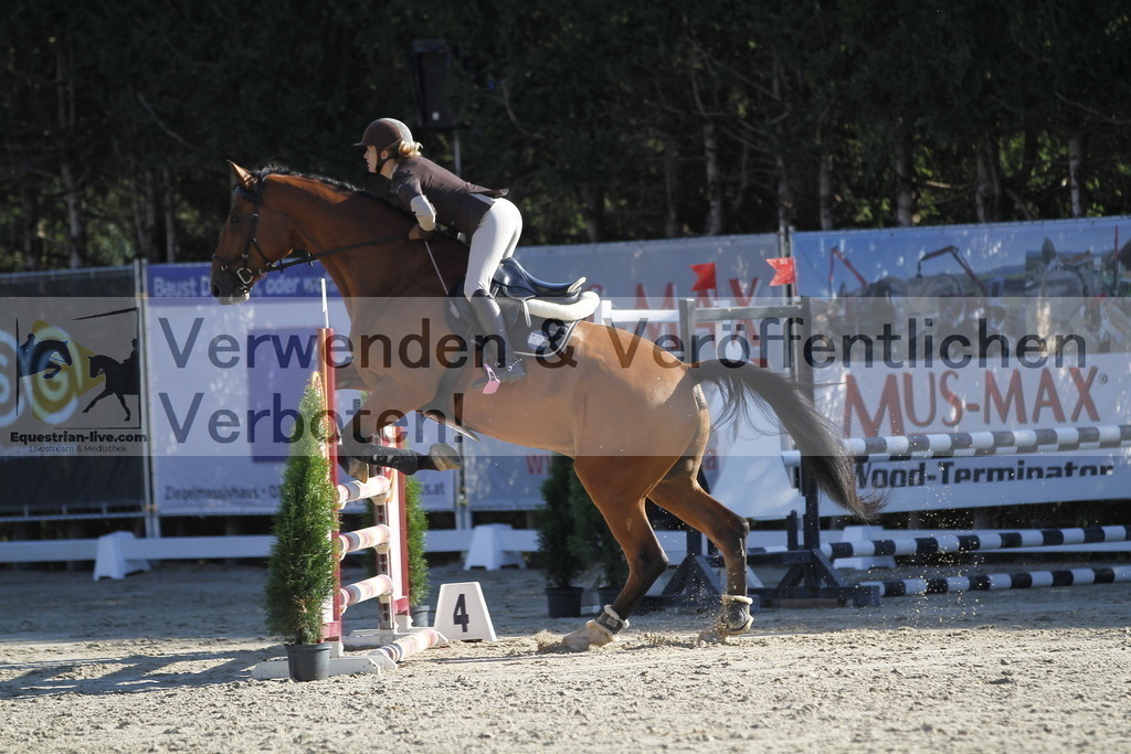 _MG_3583 | equestrian-live-com