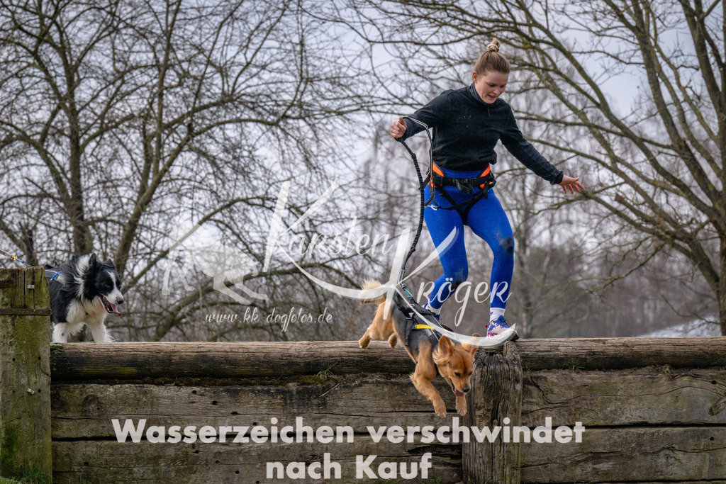 _ZZ91112 | kk-dogfotos