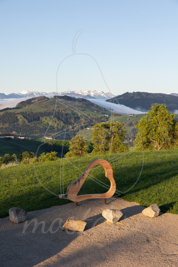 Birnbaumblüte Voralpenblick | Ihre Fotografin im Lungau, ihre Fotografin im Mostviertel, Wandbilder Onlineshop, Imagefotos für Ihr Unternehmen,  - Realisiert mit Pictrs.com