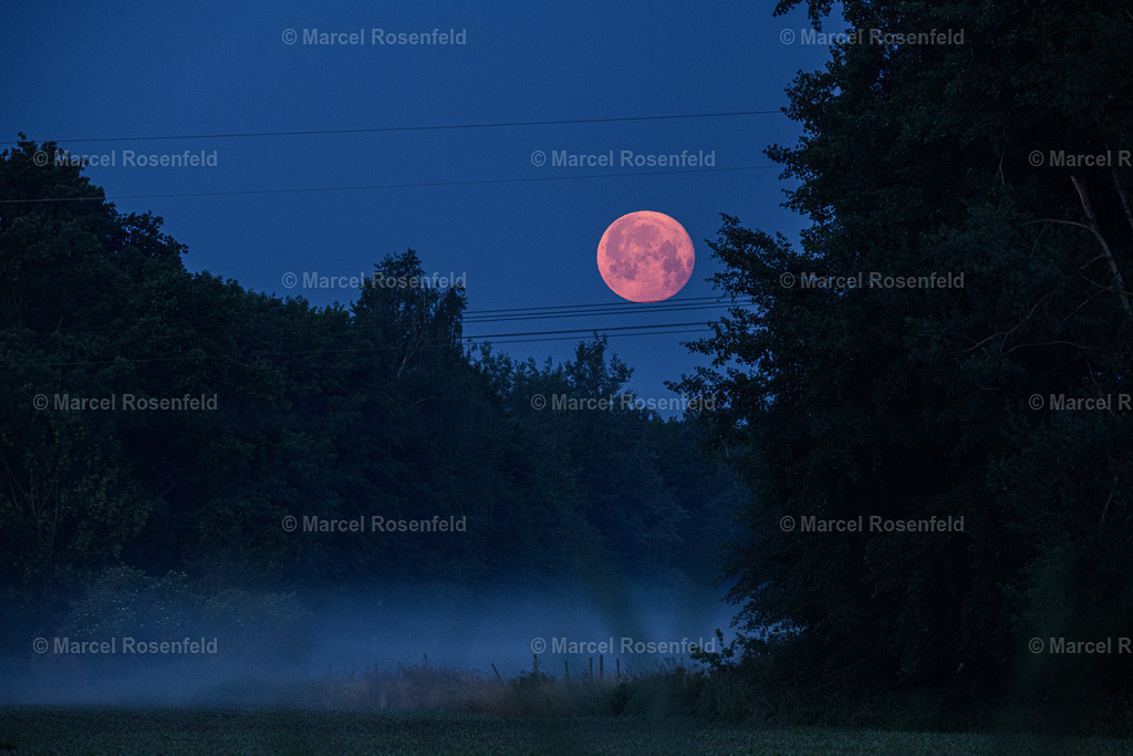 _DSC2700 | foto-rosenfeld