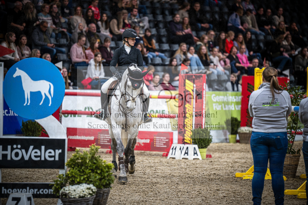 DOS_1004 | Entdecke hochwertige Reitturnierfotos von Foto Oger. Professionell, emotional und authentisch – jetzt Lieblingsmomente im Shop bestellen.Deutschlandweite Turnierfotografie. - Realisiert mit Pictrs.com