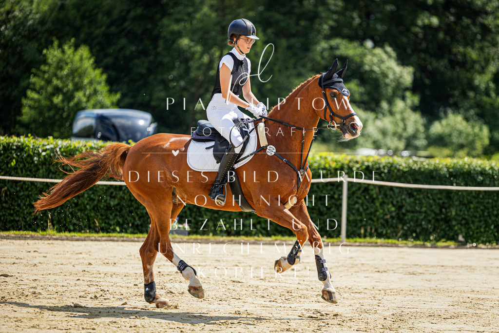 IMGM6041 | pl-fotografie