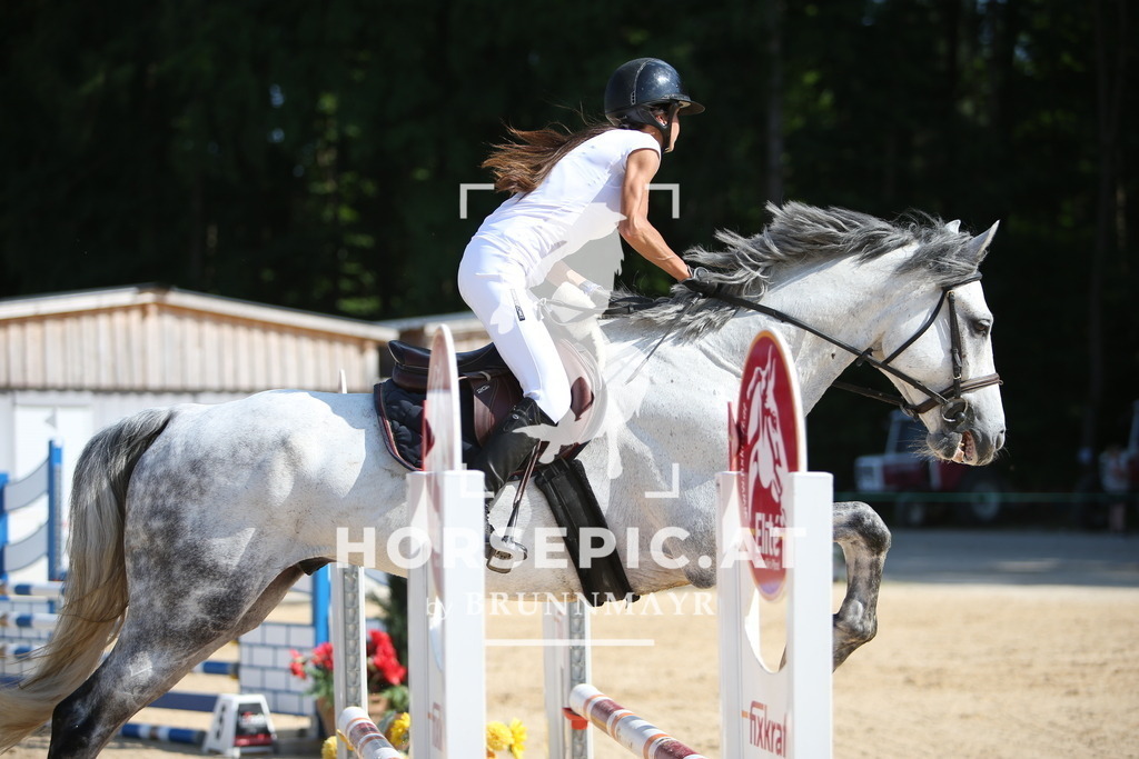 PP016003 | Willkommen bei Brunnmayr - Design & Fotografie – Ihrem Spezialisten für Reitturniere und Pferdeveranstaltungen in Oberösterreich, Salzburg und Bayern! Seit über 17 Jahren sind wir leidenschaftlich dabei.