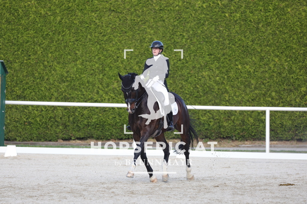 0P6A3741 | Willkommen bei Brunnmayr - Design & Fotografie – Ihrem Spezialisten für Reitturniere und Pferdeveranstaltungen in Oberösterreich, Salzburg und Bayern! Seit über 17 Jahren sind wir leidenschaftlich dabei.