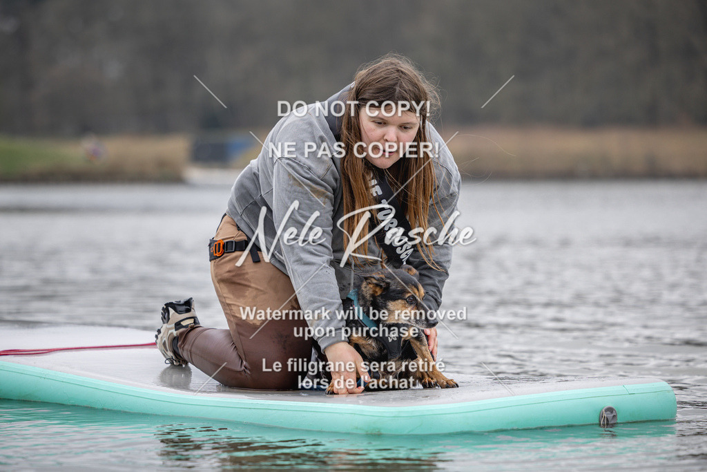 nelerasche_Hulsbeek_Sa1230-1330_304 | nelerasche
