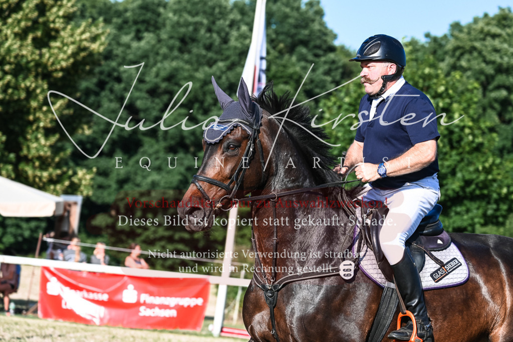 DSC_2999 | Pferde- und Turnierfotografie in Westsachsen. Pferdeportraits, Auftragszeichnungen und intuitive Kunst.