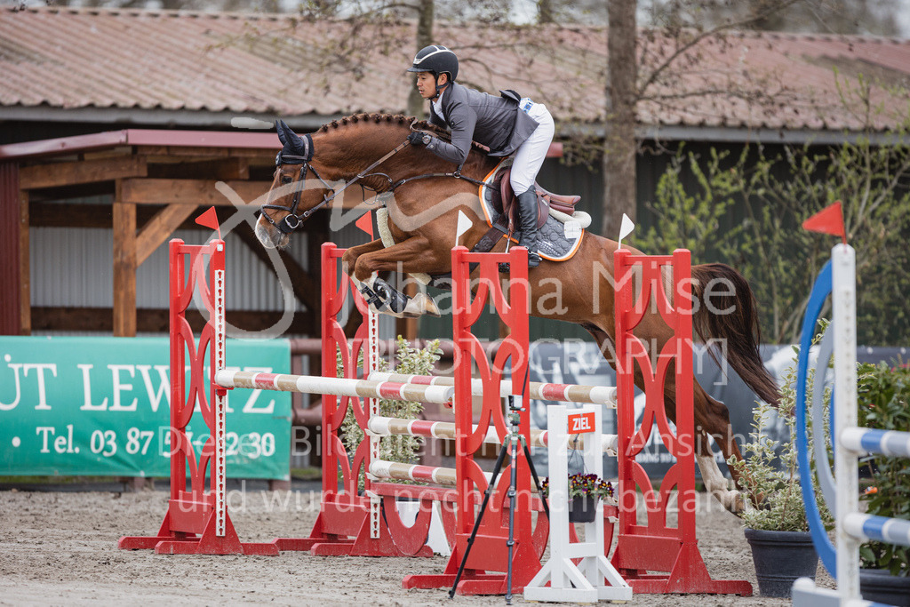 230411_Mühlen_03SprPf-L-386 | Deine schönsten Turniermomente als professionelle Fotos! Entdecke hochwertige Pferdesport-Fotografie im Online-Shop. Jetzt Fotos finden & bestellen!