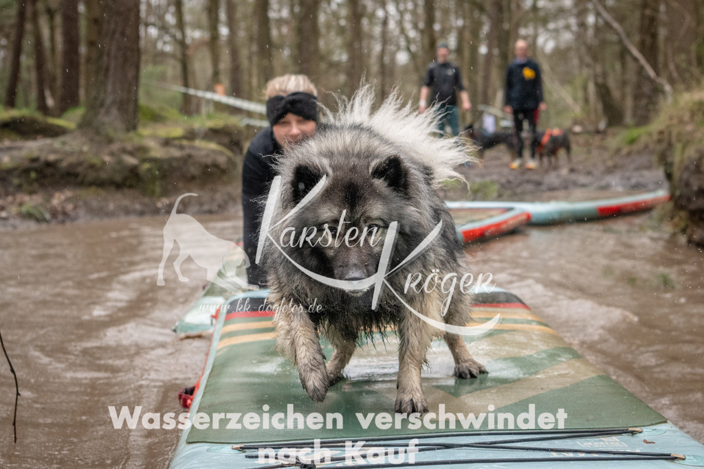 1152_ZZ90022 | kk-dogfotos