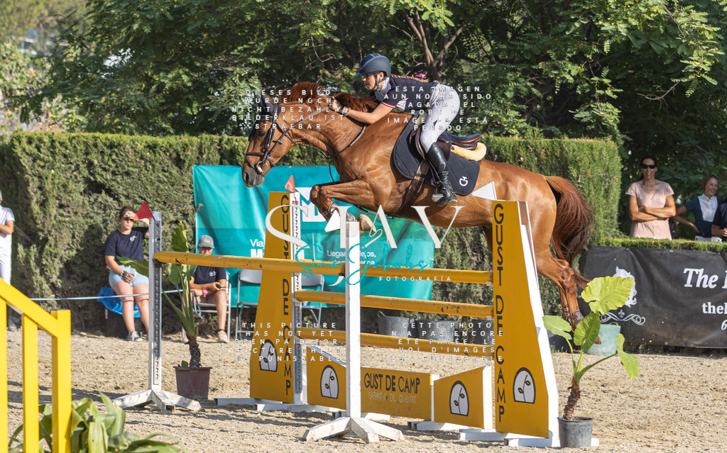 IMG_9384 | s-jay-photography - Realisiert mit Pictrs.com