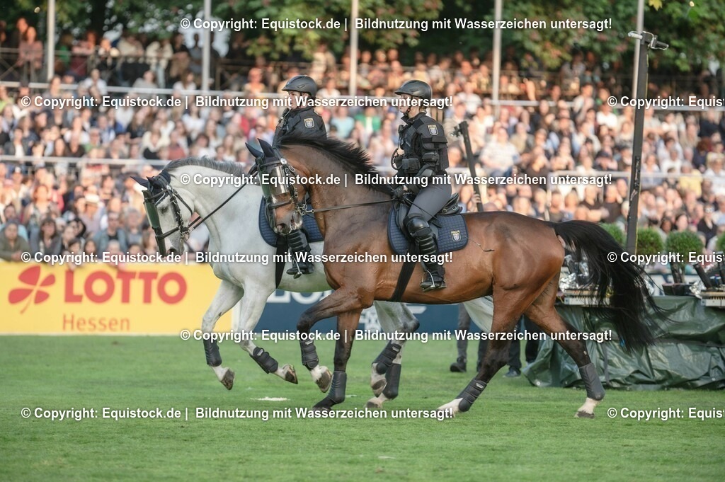 20230526_Pferdenacht_0369 | equistock