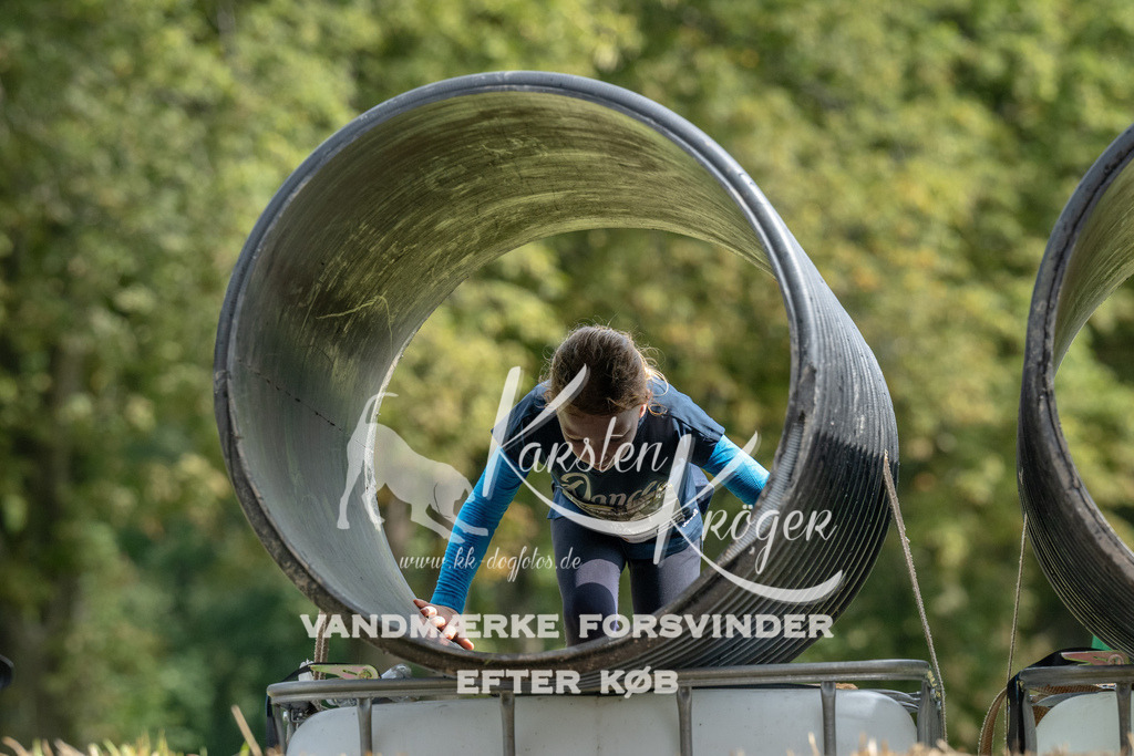 1124_ZZ94077 | kk-dogfotos