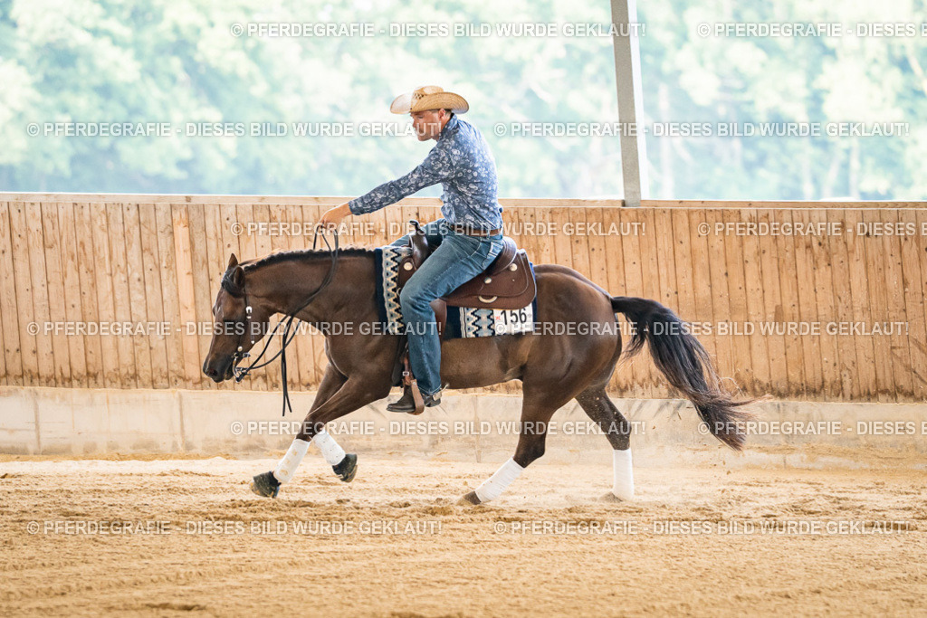 DSC05474 | Pferdegrafie