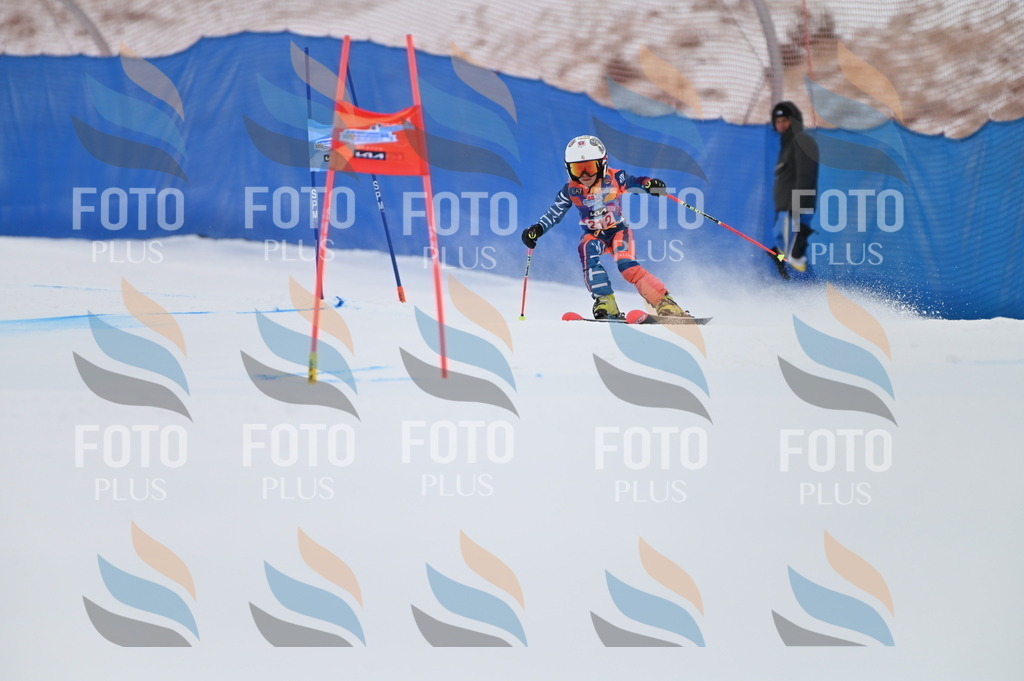 BGV_2494 | holidayphoto