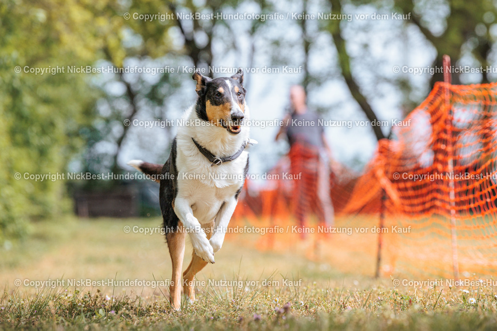 Sage Hunderennen Frühlingsfest-2026-Nickbest-Hundefotografie-0518 | Dein Hund! Dein Moment! Deine Erinnerungen! Hundefotografie in Bremen Blumenthal. Ich fange die besonderen Momente deines Vierbeiners ein – ob Indoor mit Blitzanlage oder in der freien Natur. Sicher dir dein Moment und dein Termin für eure Erinnerungen.