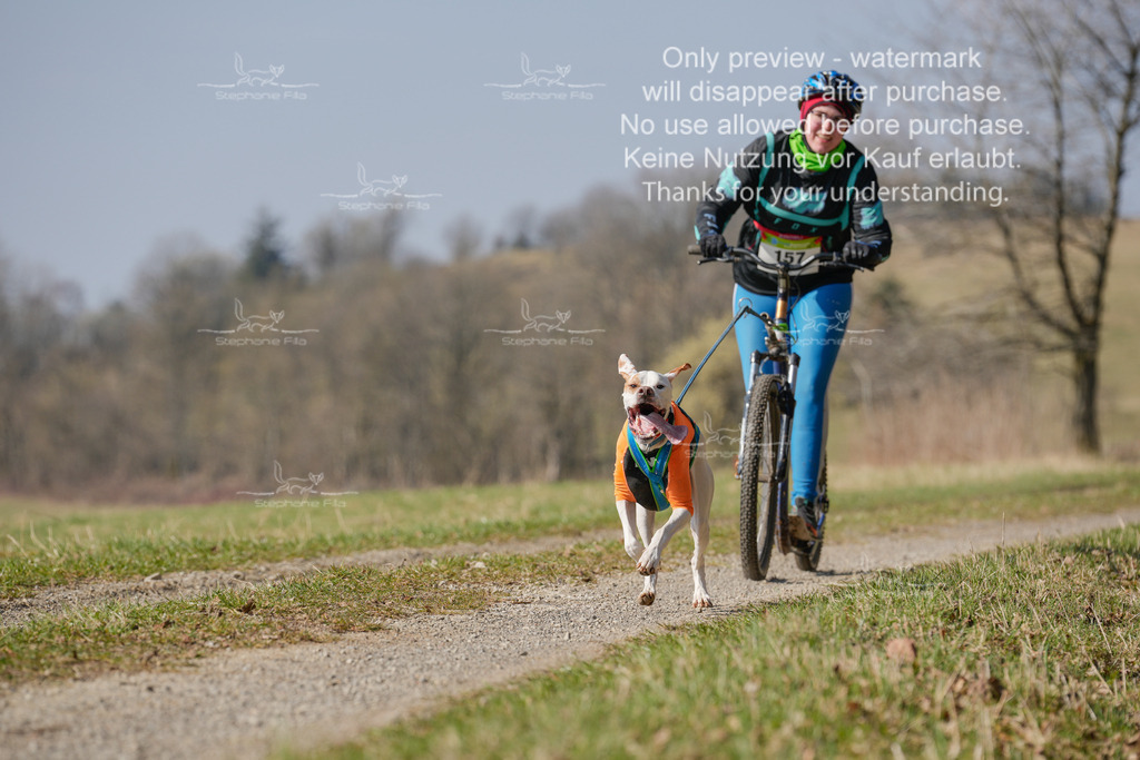 Scooter_Lang-118 | stephaniefillaphotographie - Realisiert mit Pictrs.com