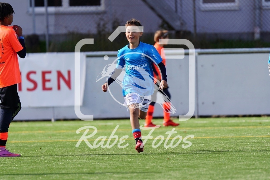 SON07269 | rabefotos