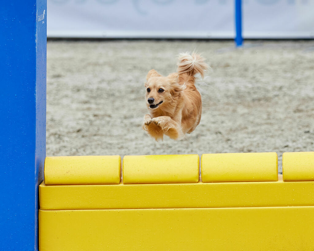 580A0205 | Peter Fridle Fotografie - Realisiert mit Pictrs.com