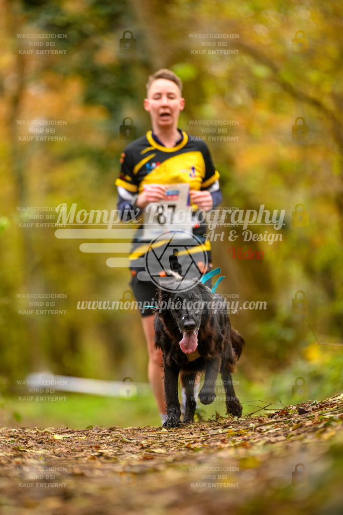 MompixPhotography_Bischwiller24_SA_Canicross-168 | PayLife