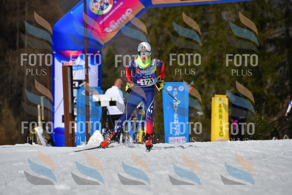 _DSC0637 | holidayphoto