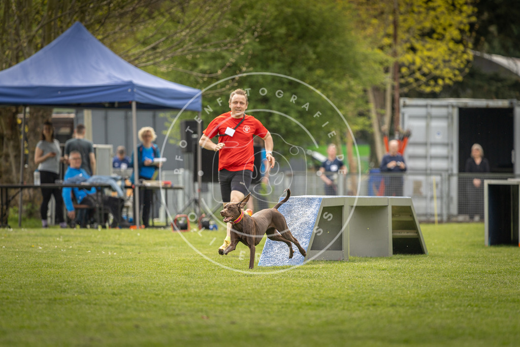 Pfotenfotografie_DV3A6641 | Hundefotografie, Tierfotograf, Pfotenfotografie, Fotoshooting Hund, Hunde Portrait, Hundesport, Hundeportraits, Heideshooting, Hunde, Sportfotograf, Hundefotograf, Turnierhundsport, THS,  - Realisiert mit Pictrs.com