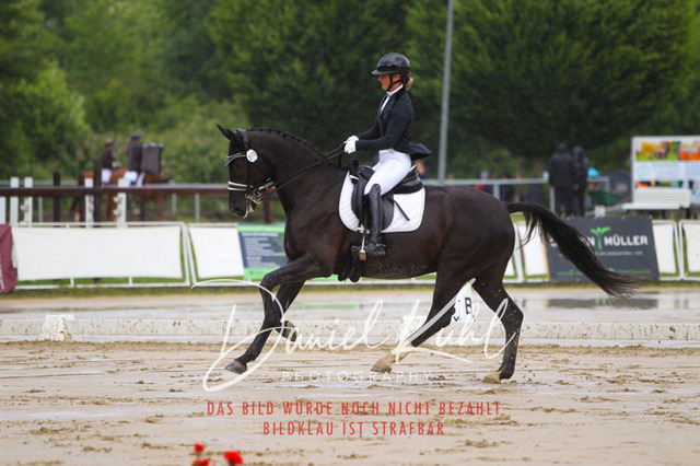 DKP40563 | Turniersportfotografie; Pferdefotografie; Dressurfotografie