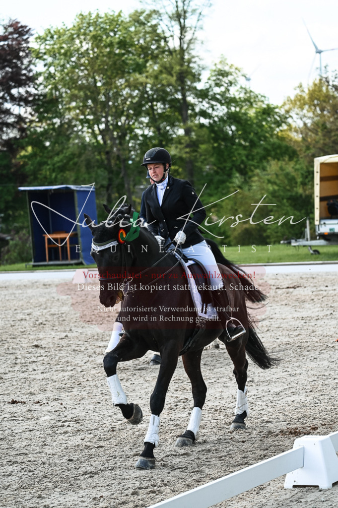 20230514_JK-Röhrsdorf-18-661 | Pferde- und Turnierfotografie in Westsachsen. Pferdeportraits, Auftragszeichnungen und intuitive Kunst.