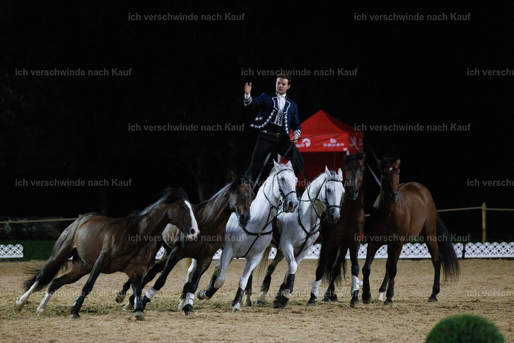 FHClassics-396 | working equitationturnier fotograf videograf stoibphotography marixx film working equitation deutschland reitsport turnierfotografie eventfotografie equestrian events