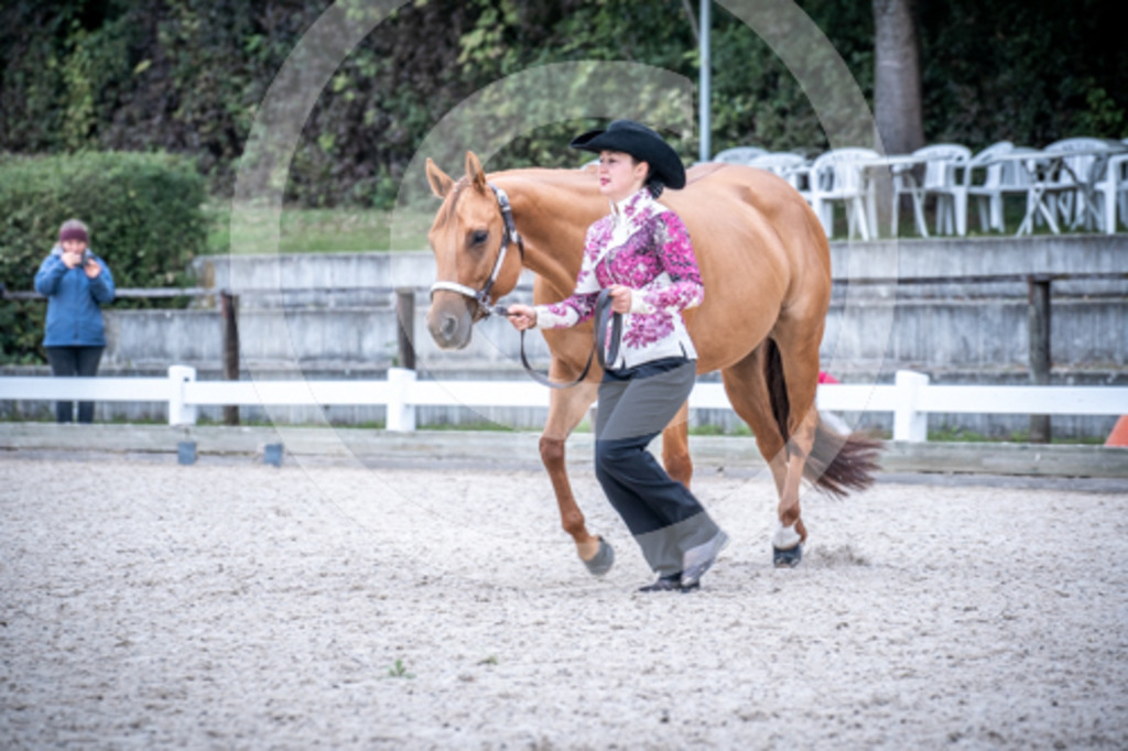 HEB06515 | BS-foto
