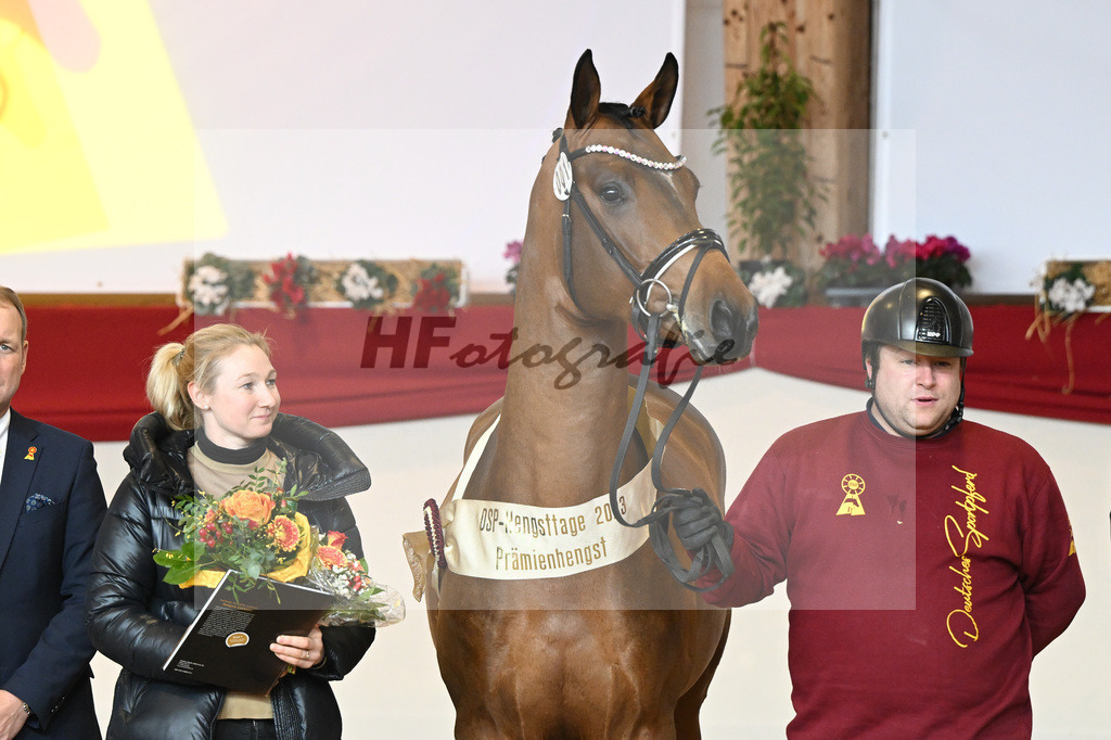 Kat-Nr. 1 Alaba_Wilbers_1231676 | hf-fotografie - Realizzato con Pictrs.com