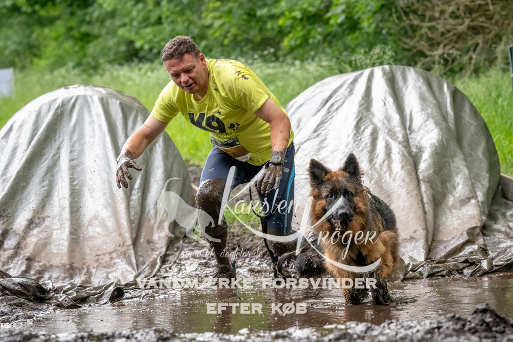 1511_ZZ92331-Bearbeitet | kk-dogfotos