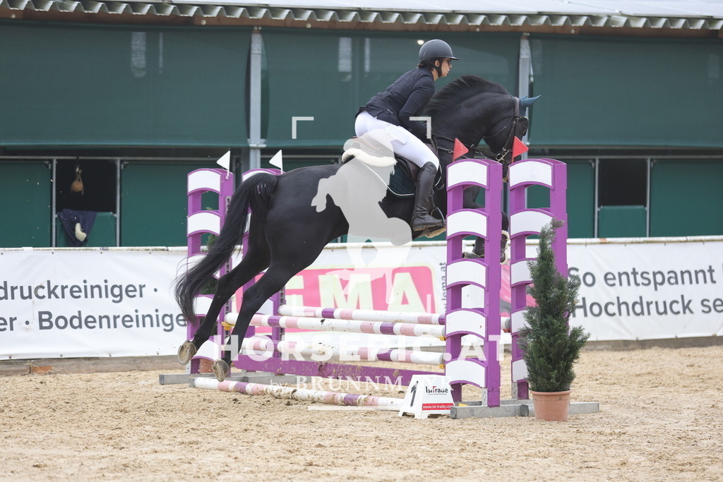 0P6A0846 | Willkommen bei Brunnmayr - Design & Fotografie – Ihrem Spezialisten für Reitturniere und Pferdeveranstaltungen in Oberösterreich, Salzburg und Bayern! Seit über 17 Jahren sind wir leidenschaftlich dabei.
