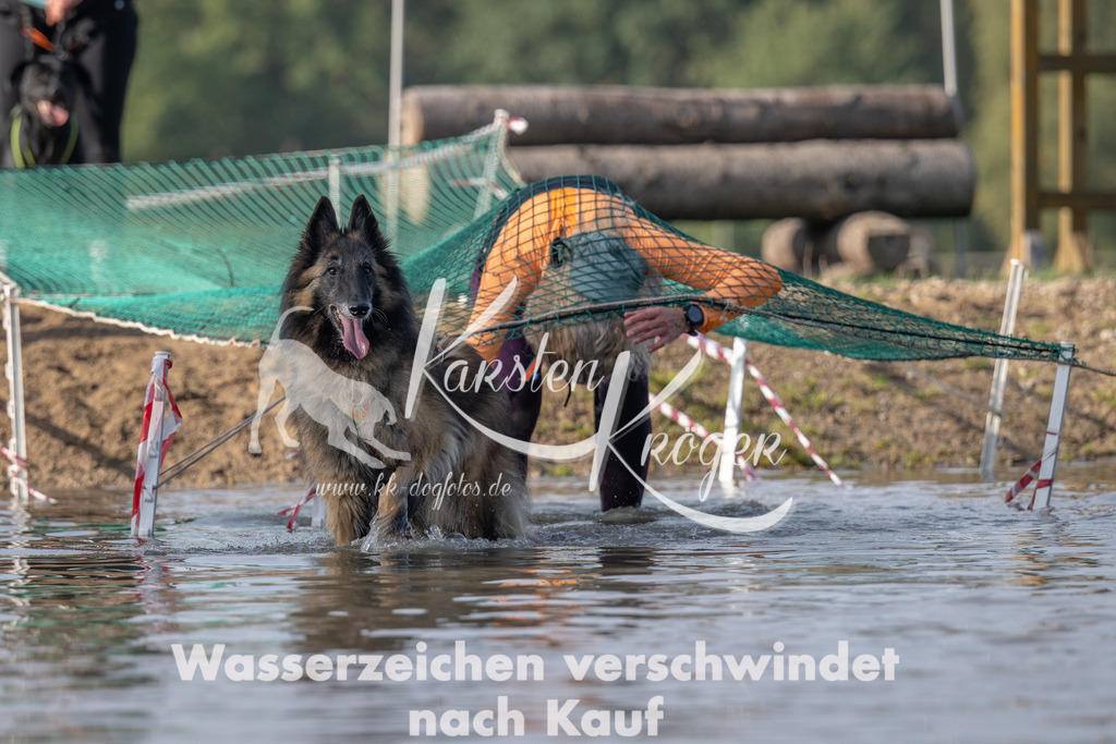 1032_ZZ93789 | kk-dogfotos
