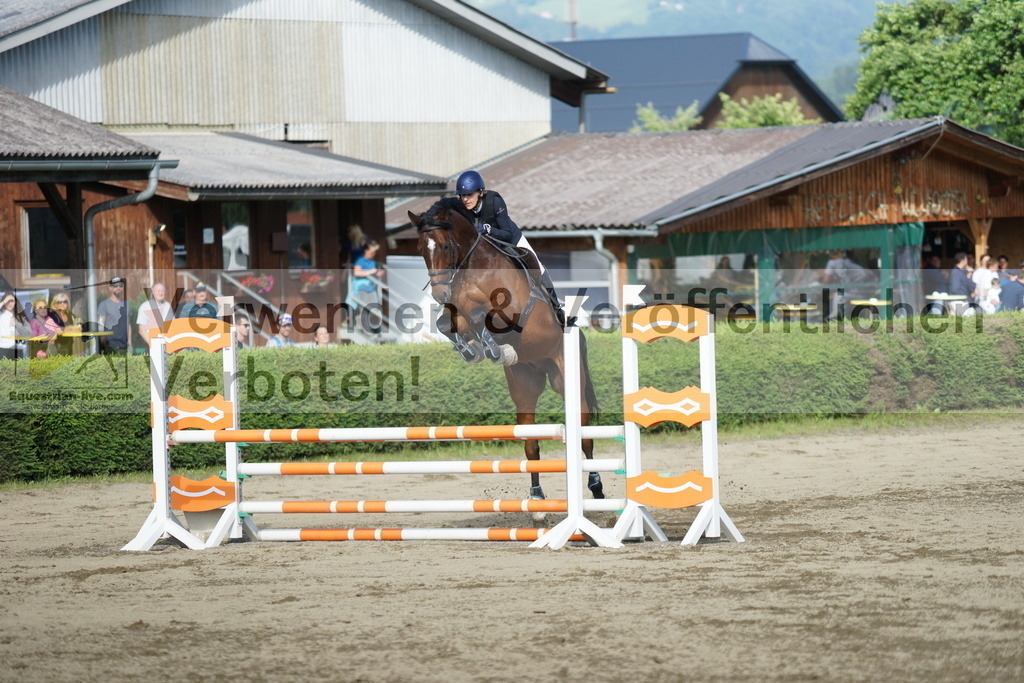 DSC05556 | equestrian-live-com