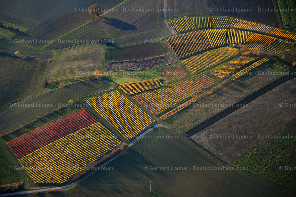 4042452 | Weinbergslandschaft an der Mainschleife bei Escherndorf und Nordheim