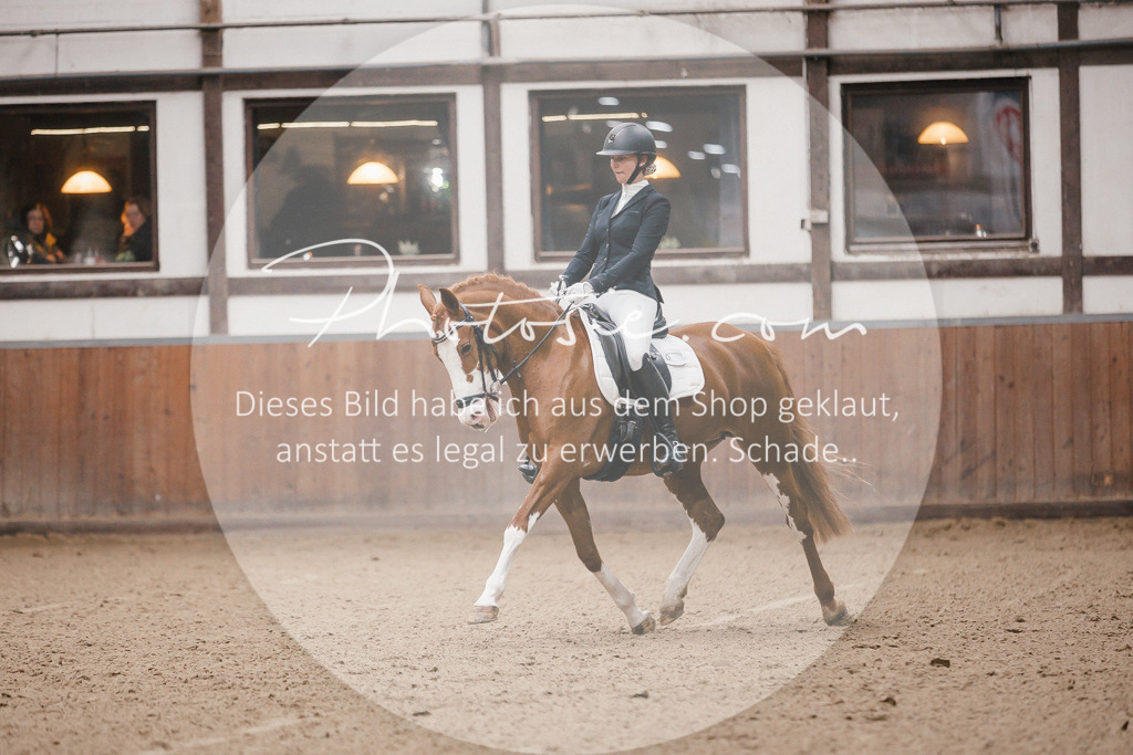 3I6A6424 | Stimmungsvolle Portraits und Reitsportfotografie im Ruhrgebiet und im Münsterland.

Pferdefotografie, Hundefotografie, Tierfotografie, Reportagen, Portraits von Tier und Mensch, Turnierfotografie in Bochum, Recklinghausen, Marl, Haltern am See, Dülmen.. - Realisiert mit Pictrs.com