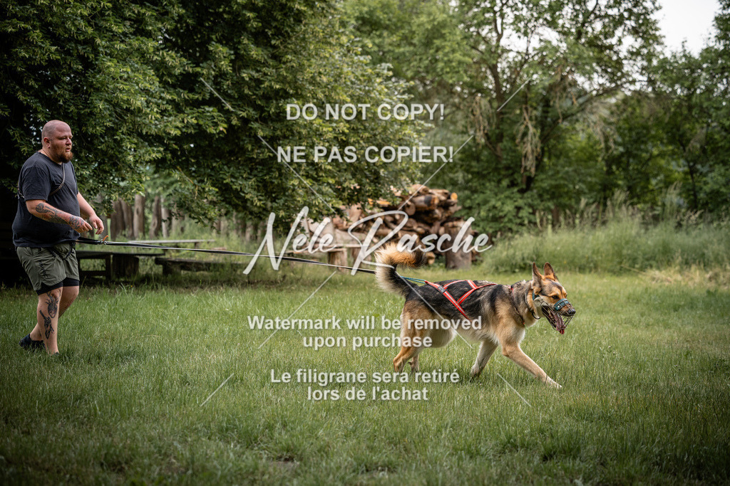 nelerasche_So-funtrail_149 | nelerasche