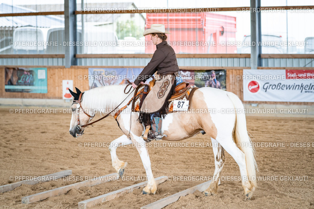 DSC09153 | Pferdegrafie