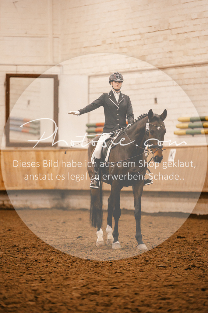 3I6A6143 | Stimmungsvolle Portraits und Reitsportfotografie im Ruhrgebiet und im Münsterland.

Pferdefotografie, Hundefotografie, Tierfotografie, Reportagen, Portraits von Tier und Mensch, Turnierfotografie in Bochum, Recklinghausen, Marl, Haltern am See, Dülmen.. - Realisiert mit Pictrs.com