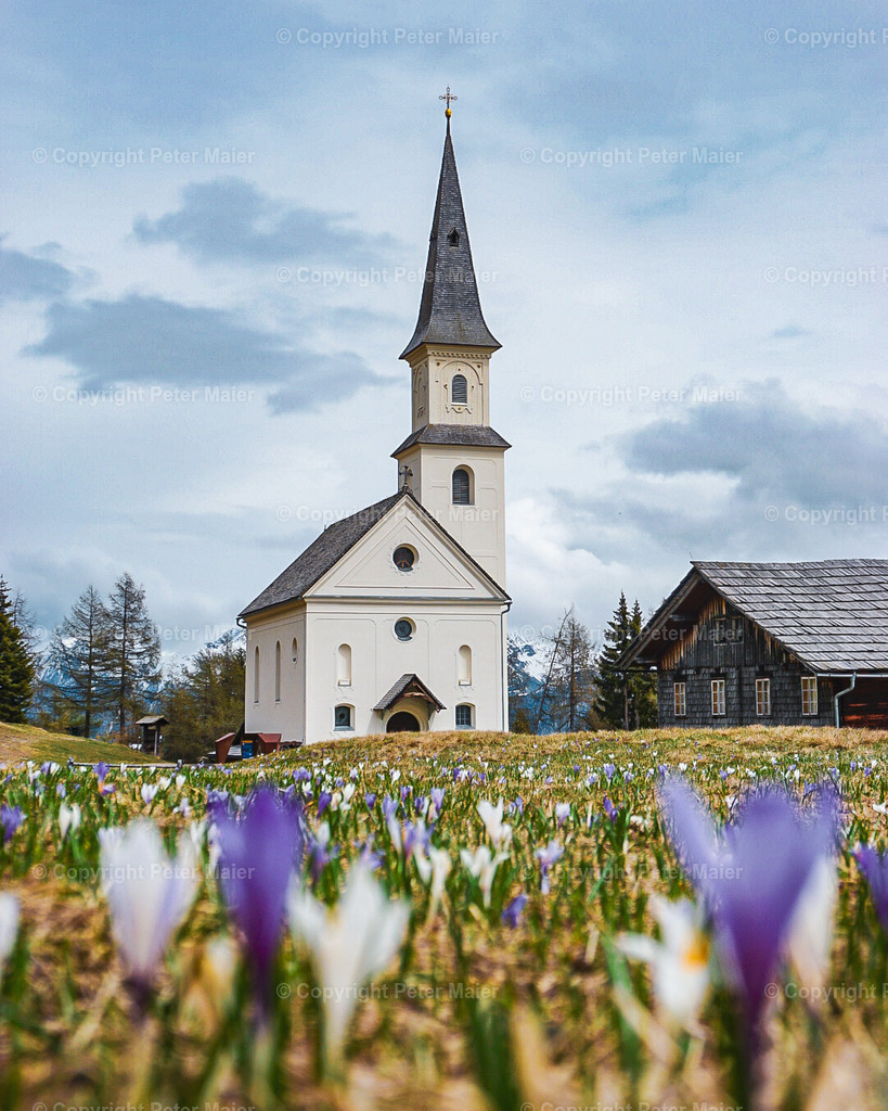 NPR Content Peter Maier75 | piet_flosse
