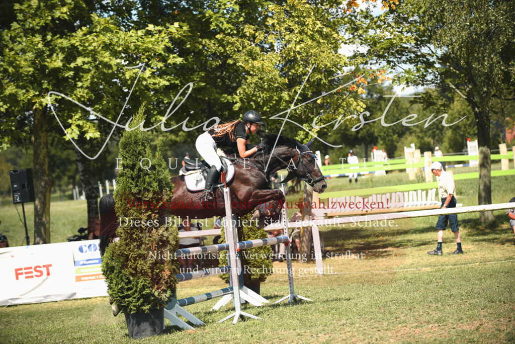DSC_6690 | Pferde- und Turnierfotografie in Westsachsen. Pferdeportraits, Auftragszeichnungen und intuitive Kunst.