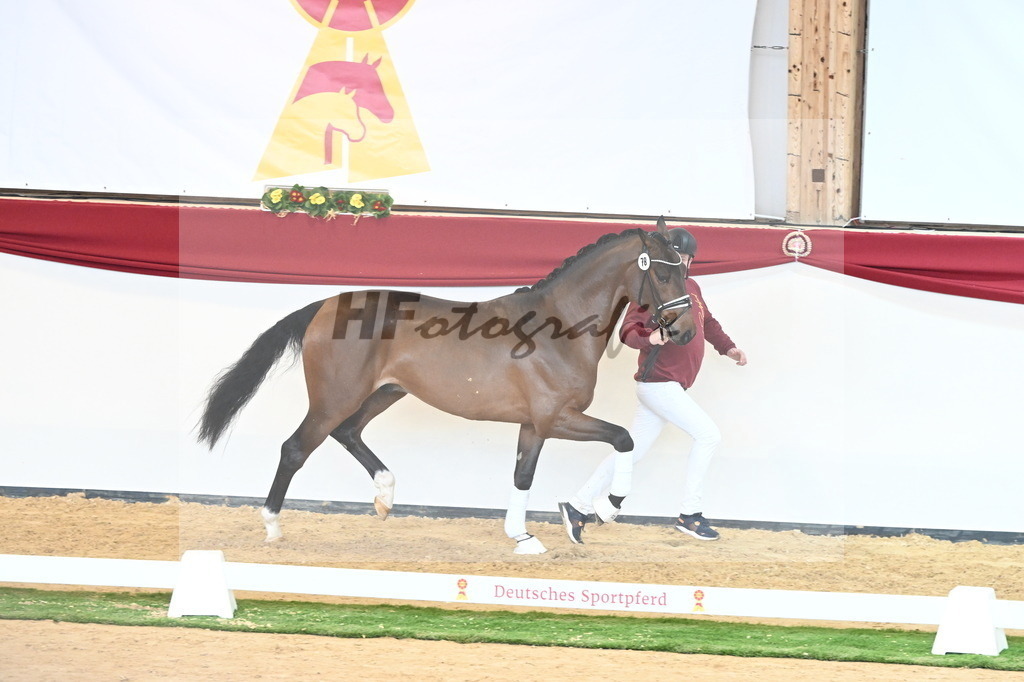 Kat.-Nr. 78 v. Valdiviani_Schulze Averdiek_2240893 | hf-fotografie - Realisiert mit Pictrs.com
