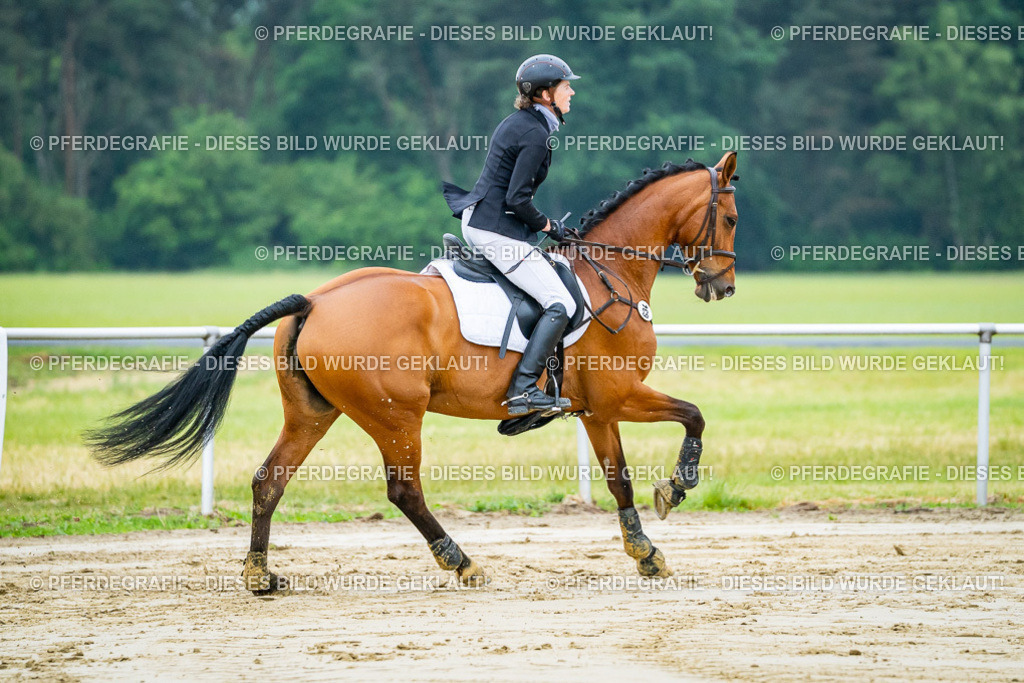 DSC02323 | Pferdegrafie