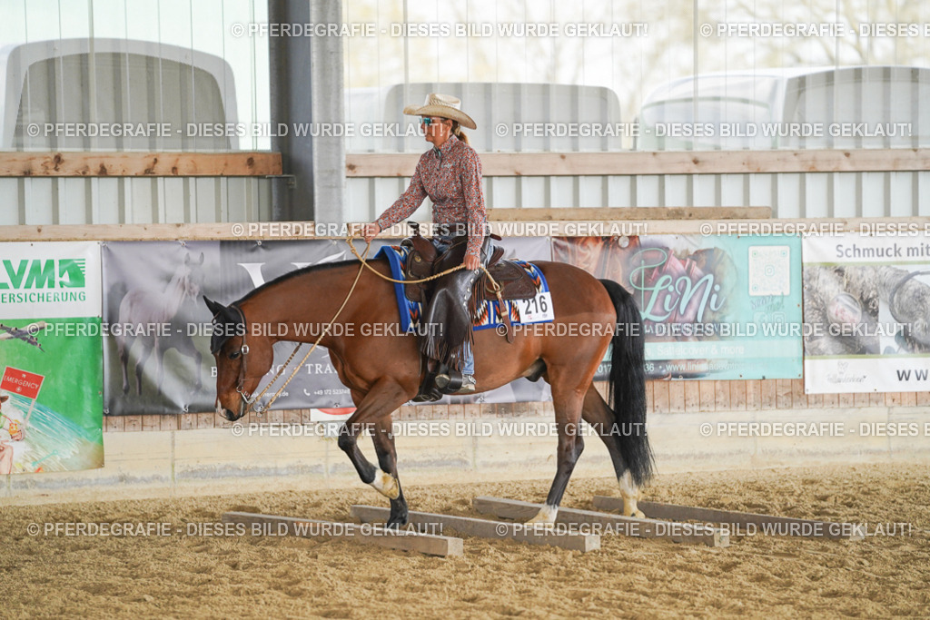 DSC01001 | Pferdegrafie