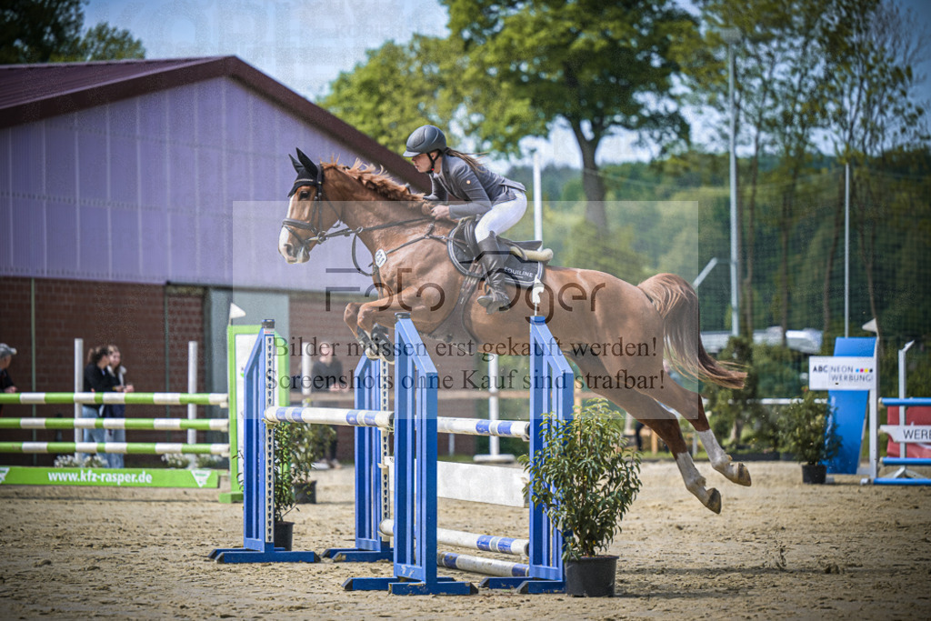 DOS_8105 | Entdecke hochwertige Reitturnierfotos von Foto Oger. Professionell, emotional und authentisch – jetzt Lieblingsmomente im Shop bestellen.Deutschlandweite Turnierfotografie. - Realisiert mit Pictrs.com