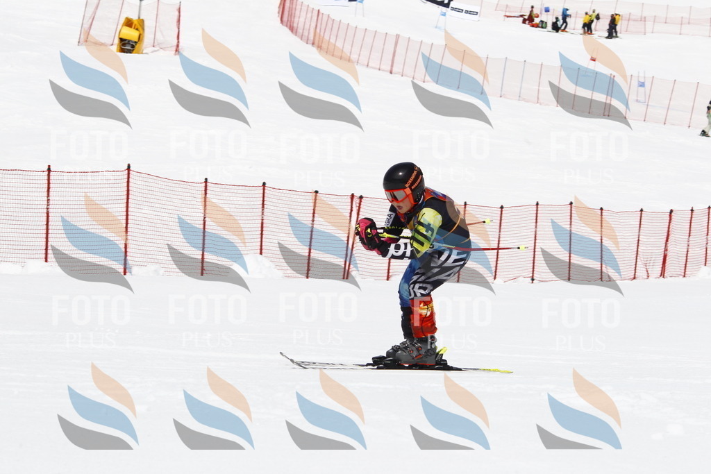 _U3G6741 | holidayphoto