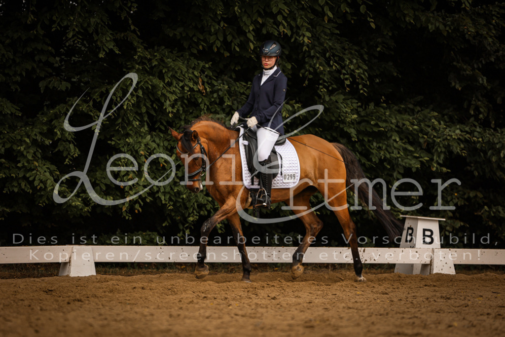 DoDrE00373 | Leoni Ertmer Photography - Realisiert mit Pictrs.com