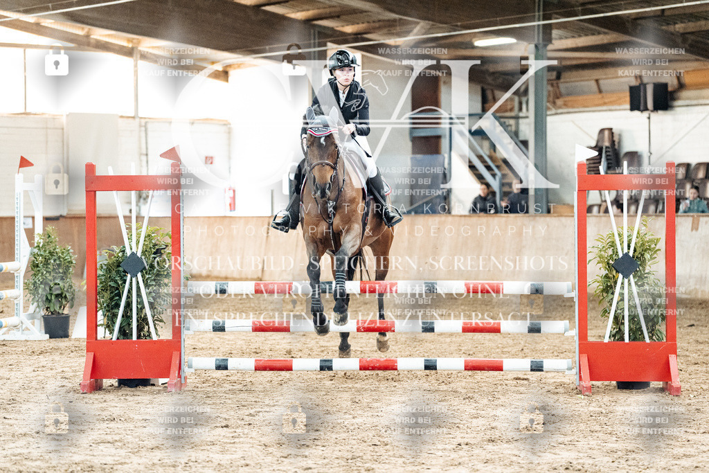 CK904405 | Turnierfotografie Pferdefotografie Trier Rheinland-Pfalz Pferdesport Reitsport Tierfotografie Sportfotografie Pferdevideo Pferdevideografie Equestrianvideography equestrianphotography  - Realized with Pictrs.com