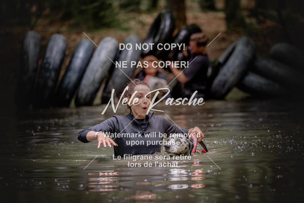 nelerasche_SaWingst1530-1600_54 | nelerasche
